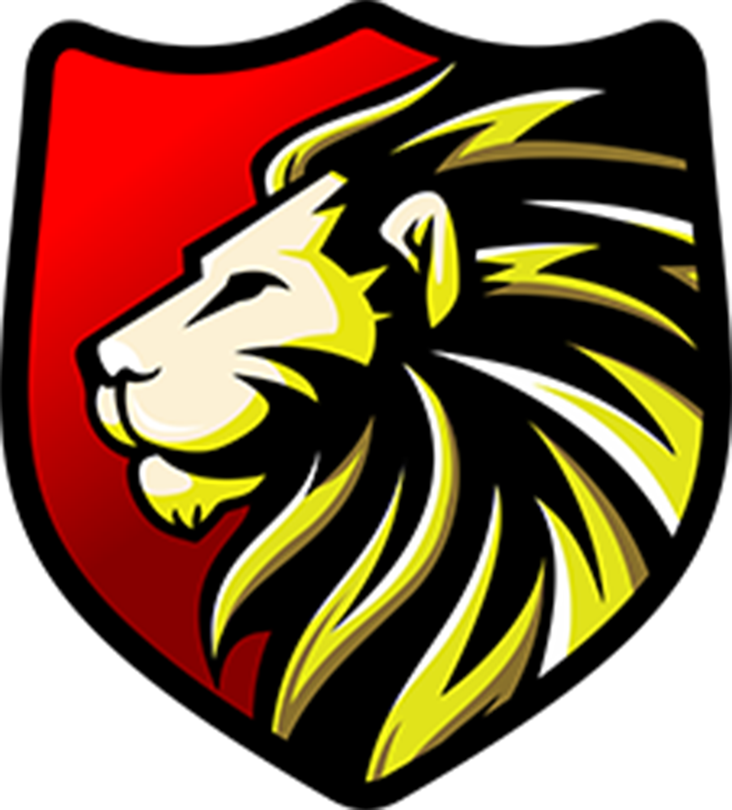 Voltera